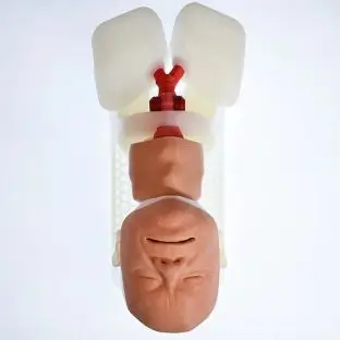 Airway Management Task Trainer - Decent Simulators